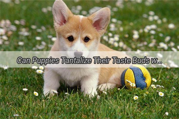 Can Puppies Tantalize Their Taste Buds with Veggies Discover the Truth Behind Early Feeding